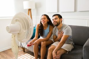 Cómo Contrarrestar el Calor en Casa y en el Trabajo Medidas en Casa Uso de Ventiladores y Aire Acondicionado: